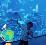 Profile Picture of Josué Dedios (@Josué-Dedios) on Facebook