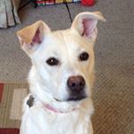 Profile Picture of Paula (@paulamckillop1) on Instagram