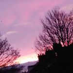 Profile Picture of adele Scott (@xo.photography.xo4) on Instagram