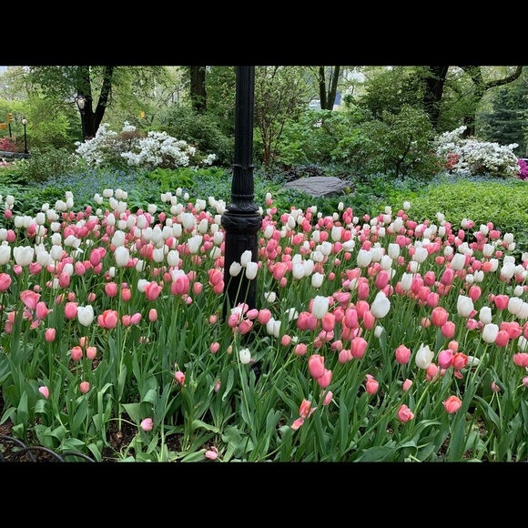 Profile Picture of Irina Pessin (@annleny) on Poshmark