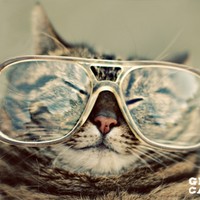Profile Picture of Aidan Connor (@aidan-connor-2) on Quora