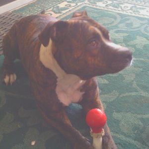 Profile Picture of Kenny Downey (@kenny.downey.12327) on Myspace