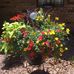 Profile Picture of Sue Hebert (@sue.hebert.50) on Facebook