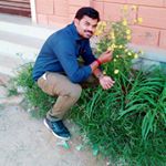 Profile Picture of Satish Shetty (@satishshetty76) on Instagram