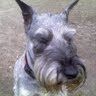 Profile Picture of Jeff Lockwood (@jlcasanes) on Pinterest