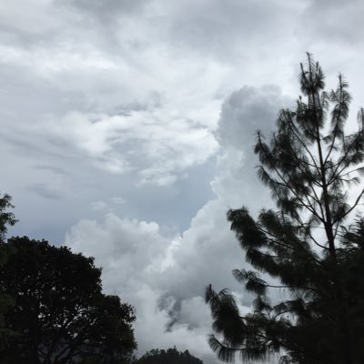 Profile Picture of Isaac Dayan (@Dayankee21) on Twitter