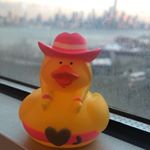 Profile Picture of Stevens Quackappella (@stevens.quackappella) on Instagram