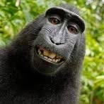 Profile Picture of James Barbieto (@james.barbieto.37) on Facebook