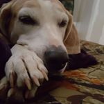 Profile Picture of Paul Hendrickson (@stan.hendrickson.37) on Instagram