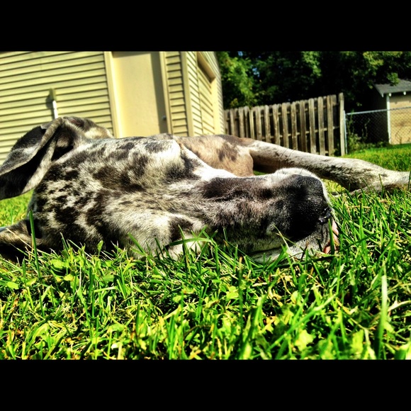 Profile Picture of Lindsey Zaskiewicz (@sdnil2000) on Poshmark