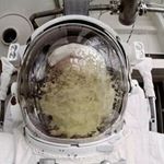 Profile Picture of Raymond Guido (@roguiron) on Instagram