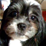 Profile Picture of Verna Ball (@vernaball) on Instagram