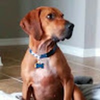 Profile Picture of David Koth (@david-koth-3) on Quora