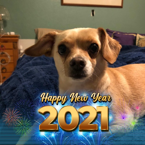 Profile Picture of Amy Berkopec (@amyberkopec) on Poshmark