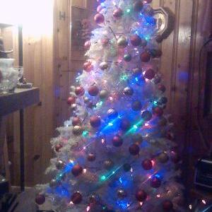 Profile Picture of Mark Asbury (@68636diis8e4c5) on Twitter