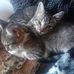 Profile Picture of Peter Schwarz (@peter.schwarz.904108) on Facebook
