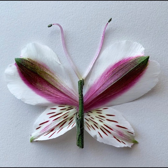 Profile Picture of Padideh Madani (@padikim) on Poshmark