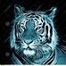 Profile Picture of Adam Strus (@adam.strus.165) on Facebook