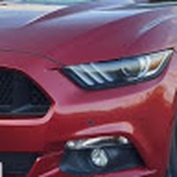 Profile Picture of Phillip Halpin (@phillip-halpin-2) on Quora