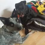 Profile Picture of Melanie Ellison (@ellison_melanie) on Instagram