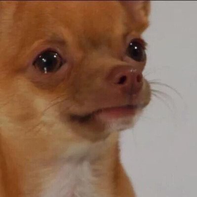 Profile Picture of Leah Mulvey (@LeahMulvey96) on Twitter