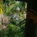 Albert Ribeiro - Instagram Profile Picture of Albert Ribeiro (@albertcbr300) on Instagram