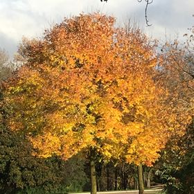 Profile Picture of dawn (@dawnkalkopf) on Pinterest