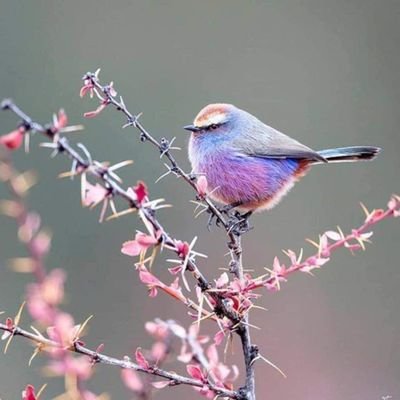 Profile Picture of كود خصم باث  💮 (@kevin_harber) on Twitter