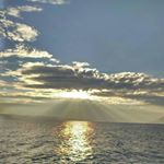 Renee Bradley - Instagram Profile Picture of Renee Bradley (@alenak5g33) on Instagram