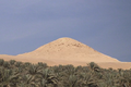 Profile Picture of Pyramid of Djedkare Isesion Wikipedia