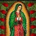 Profile Picture of Josefina Angulo (@josefina.angulo.3760) on Facebook