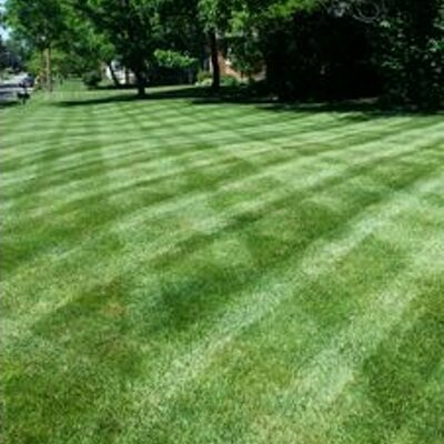 Profile Picture of Yards By Mike (@Mike_Boehnlein) on Twitter