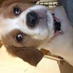 Profile Picture of Kevin Ayotte (@kevin_ayotte) on Instagram