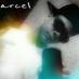 Profile Picture of Marcel Marshall (@DonovanMarcel) on Twitter