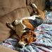 Profile Picture of Jerry Wright (@jerry.wright.106) on Facebook