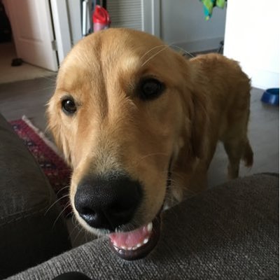 Michael Zollars - Twitter Profile Picture of Michael Zollars (@MichaelZollars) on Twitter