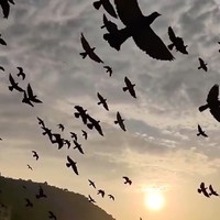 Profile Picture of Mayur Shetty (@mayur-shetty-48) on Quora