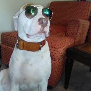 Profile Picture of Mackenzie Snelling (@MackenzieSnell2) on Twitter