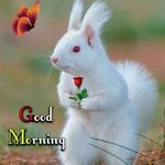 Profile Picture of Sharan Kempe (@sharankempe) on Instagram