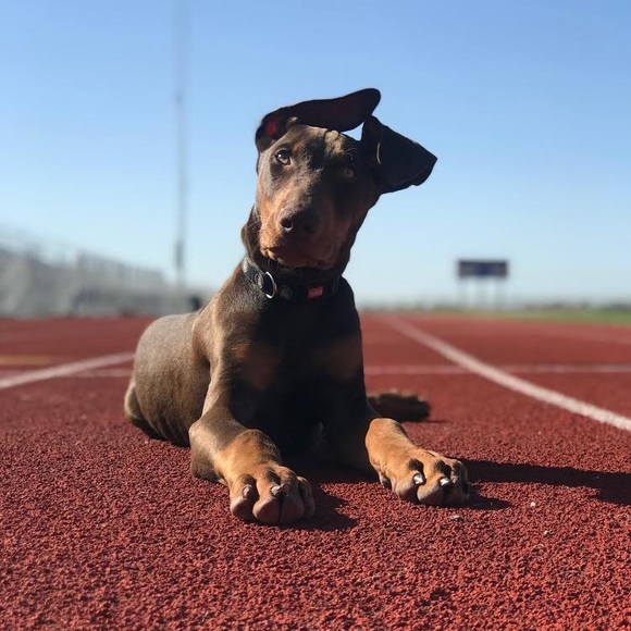 Profile Picture of Cam Boyns (@cboyns24) on Poshmark