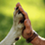 Profile Picture of She Wolf (@x shewolf x) on Flickr