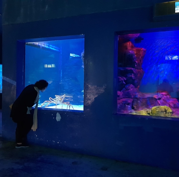 Profile Picture of Sohaila Sohaila (@sohailasohaila) on Poshmark