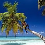 Profile Picture of Andrew Mase (@andrew.mase.9) on Facebook