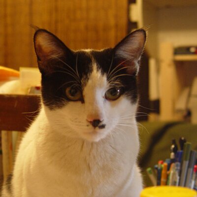 Profile Picture of Joel Chang (@bookishyi) on Twitter