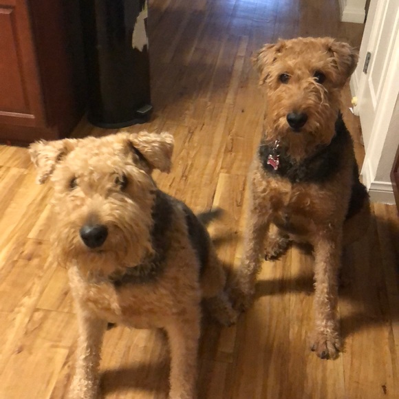 Profile Picture of Michele Huff (@mhuff11) on Poshmark