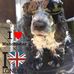 Profile Picture of Toby Bell (@toby.jones.549221) on Facebook