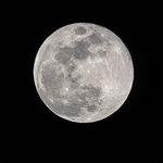 Profile Picture of Jared Siskin (@strictlypolaroid) on Instagram