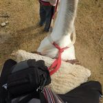 Profile Picture of ♟️Aaron ⚰️Leonel (@exe.leonel) on Instagram