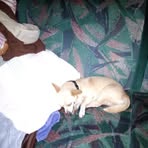 Profile Picture of Raymond Staples (@raymond.staples.2025) on Facebook