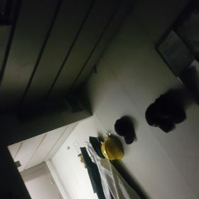 Profile Picture of Raymond Gordon (@raynecole51) on Pinterest